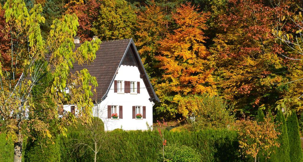 Le Gite De L'Ecureuil Sturzelbronn Экстерьер фото