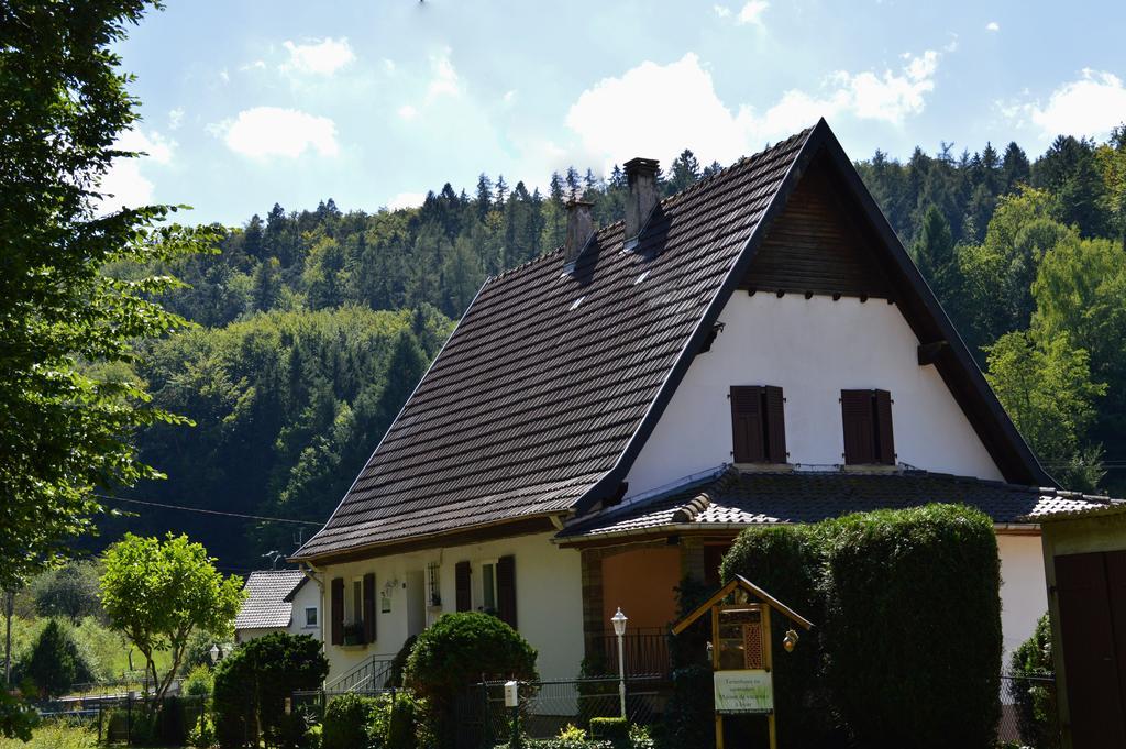 Le Gite De L'Ecureuil Sturzelbronn Экстерьер фото