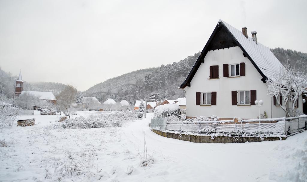 Le Gite De L'Ecureuil Sturzelbronn Экстерьер фото