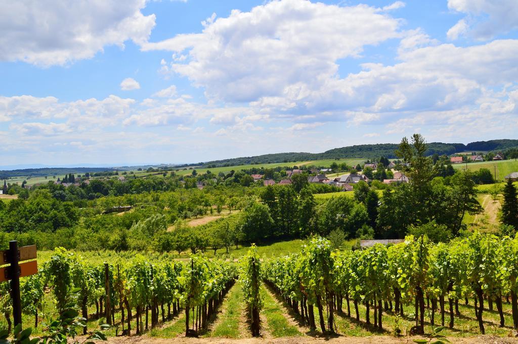 Le Gite De L'Ecureuil Sturzelbronn Экстерьер фото