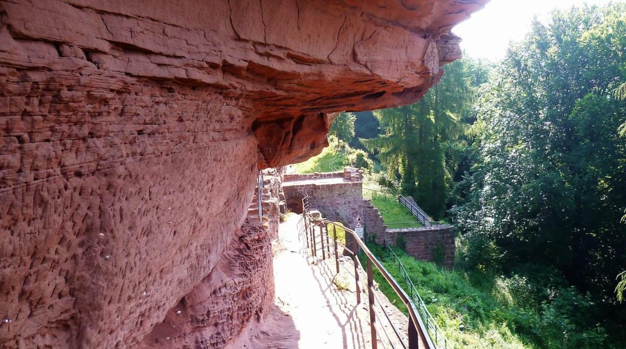 Le Gite De L'Ecureuil Sturzelbronn Экстерьер фото